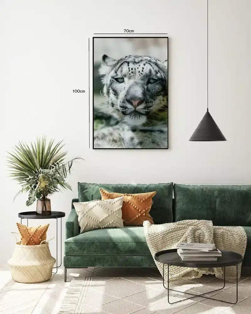 Snow Leopard Plakat