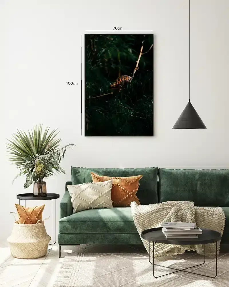 Ko Chameleon Plakat