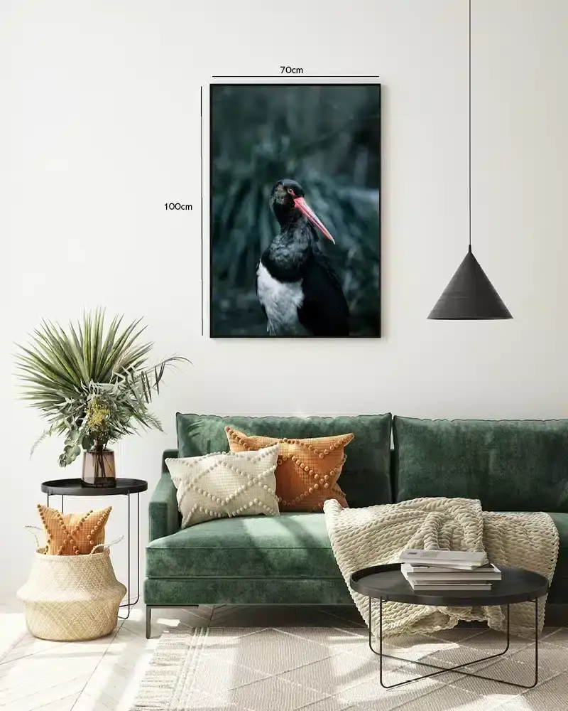 Fugl Black Stork Plakat