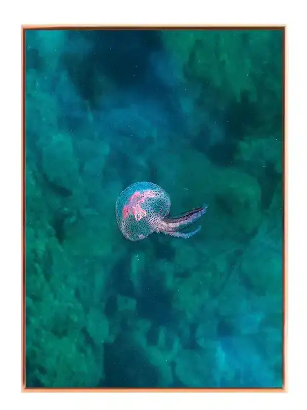 Jellyfish Ocean Plakat
