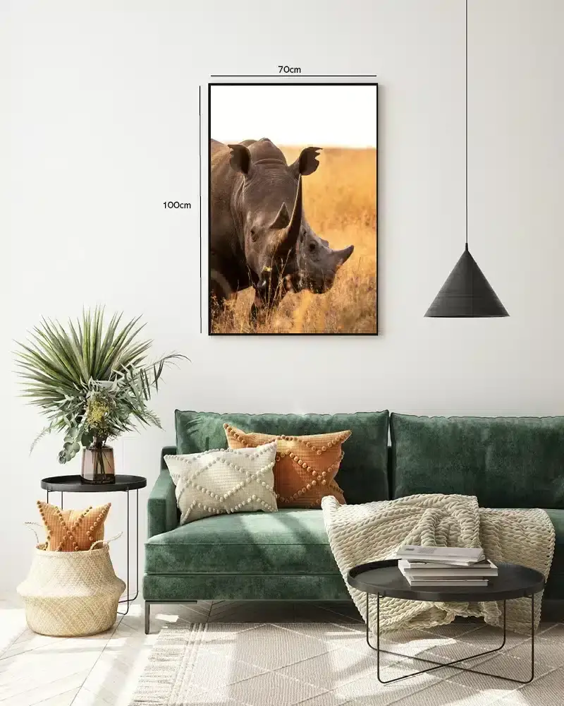 White Rhinoceros Close Up Plakat