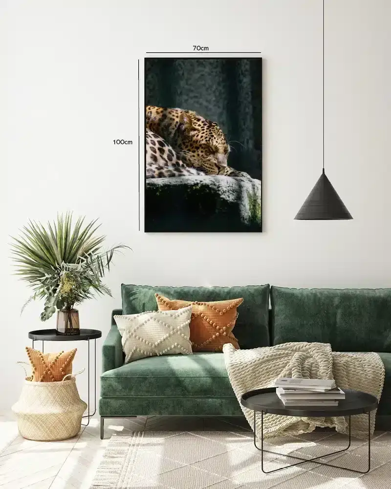 Leopard Resting I Plakat