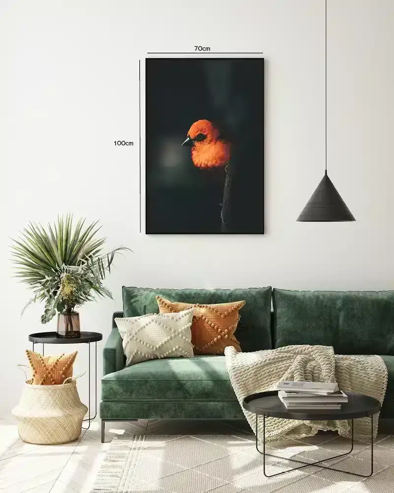 Fugl Orange Finch Plakat