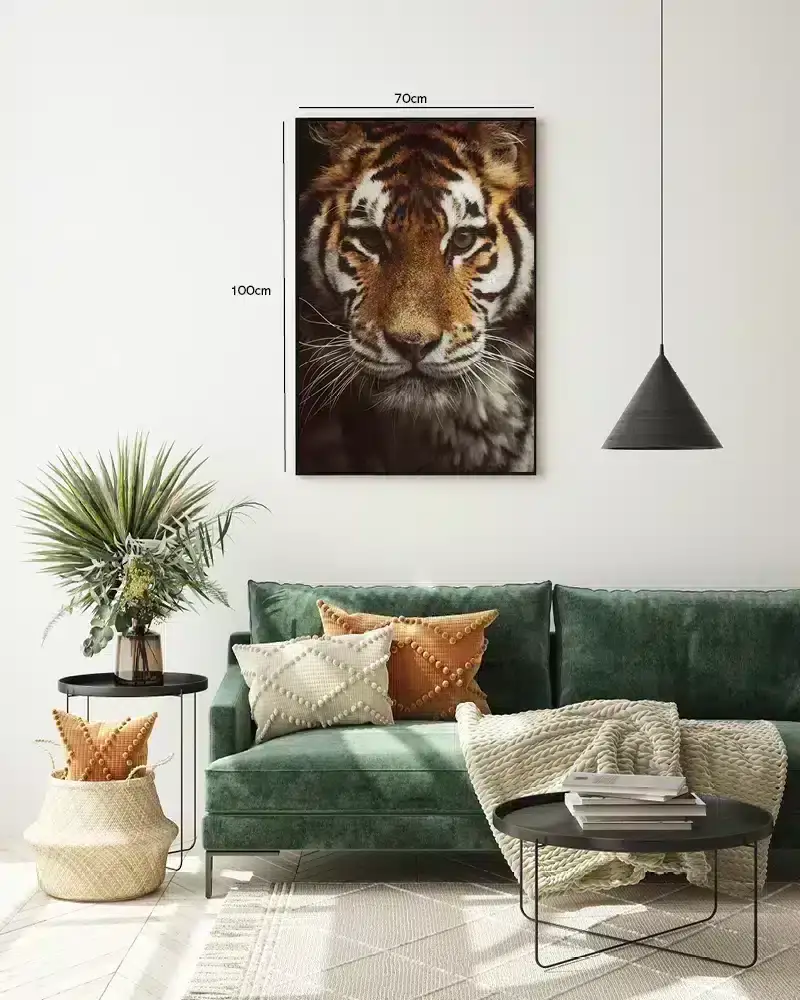 Tiger Face No3 Plakat