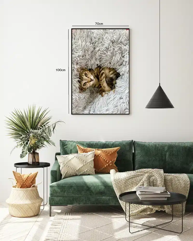 Tabby Cat Resting Plakat