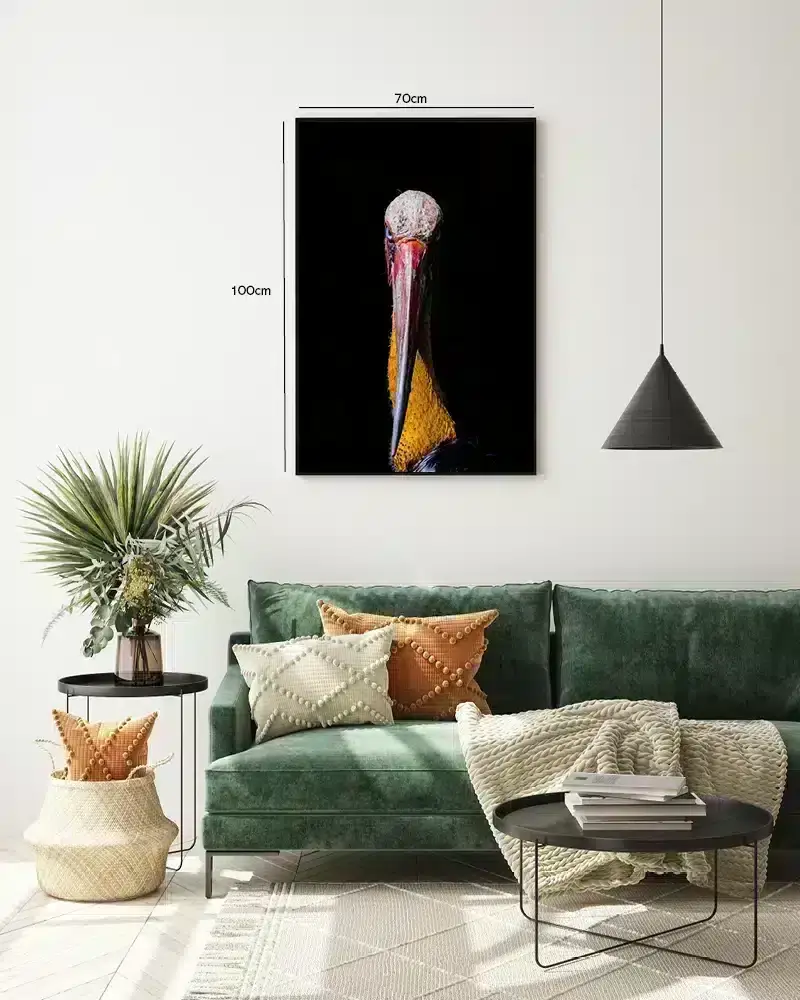 Shoebill Stork Plakat