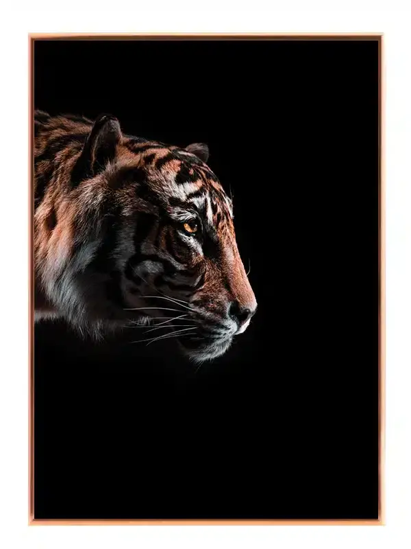 Tiger Profile Dark Plakat
