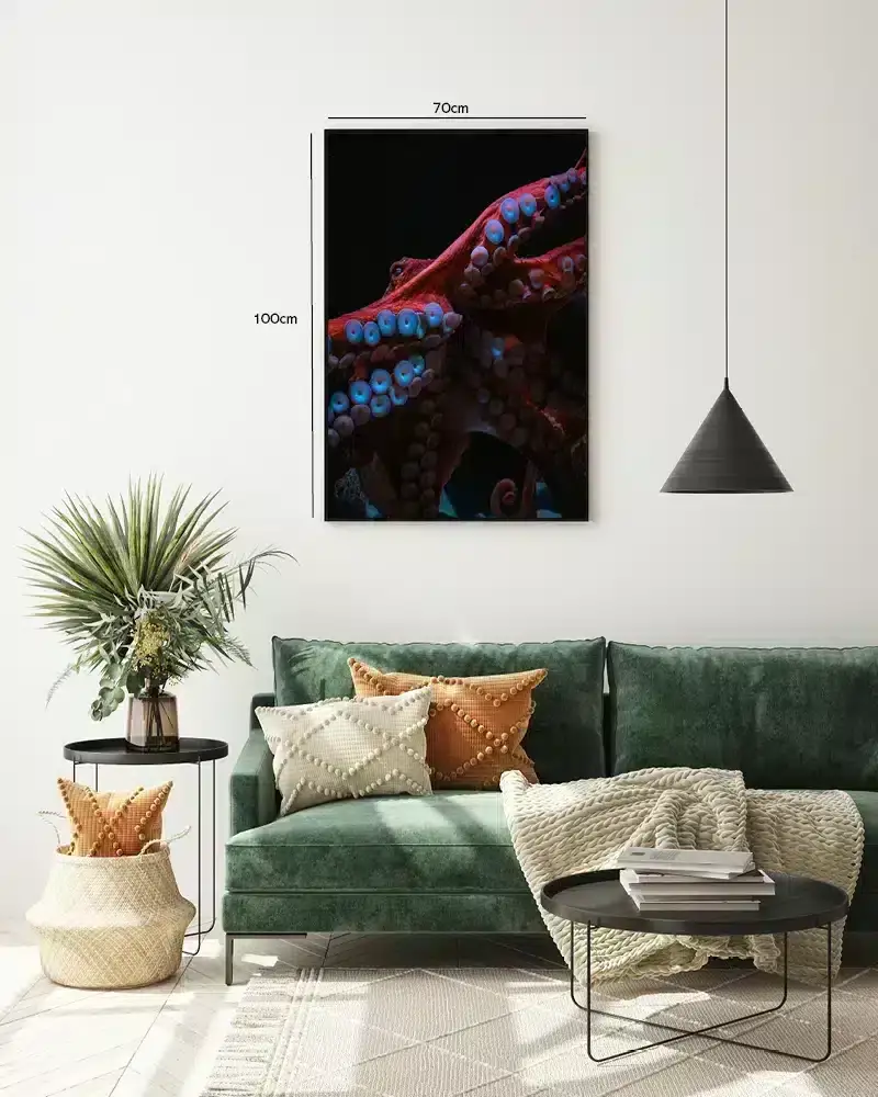 Octopus Tentacles Plakat