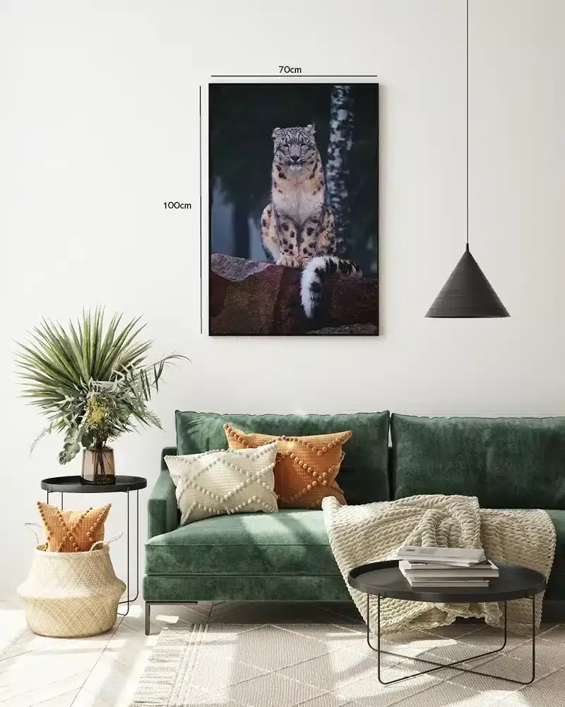 Snow Leopard Sitting Plakat