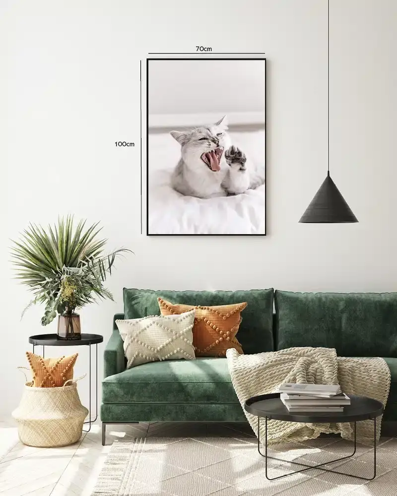 Siamese Cat Yawn Plakat