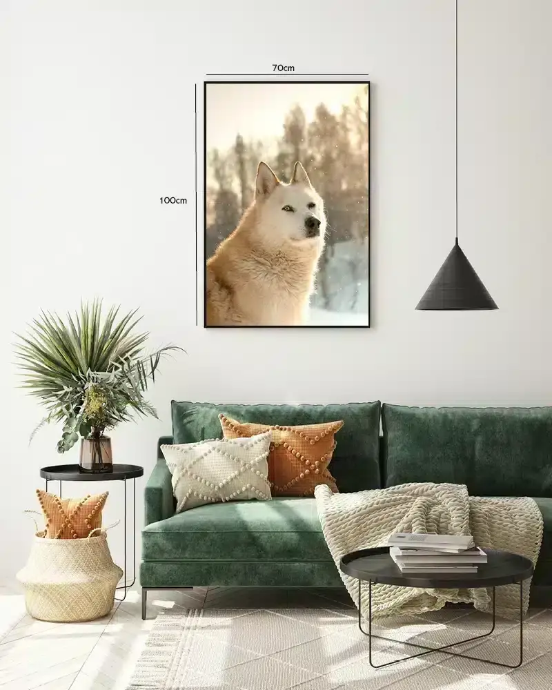 Husky Dog Plakat