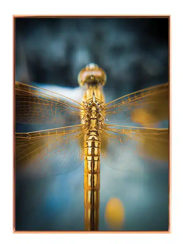 Bi Golden Plakat