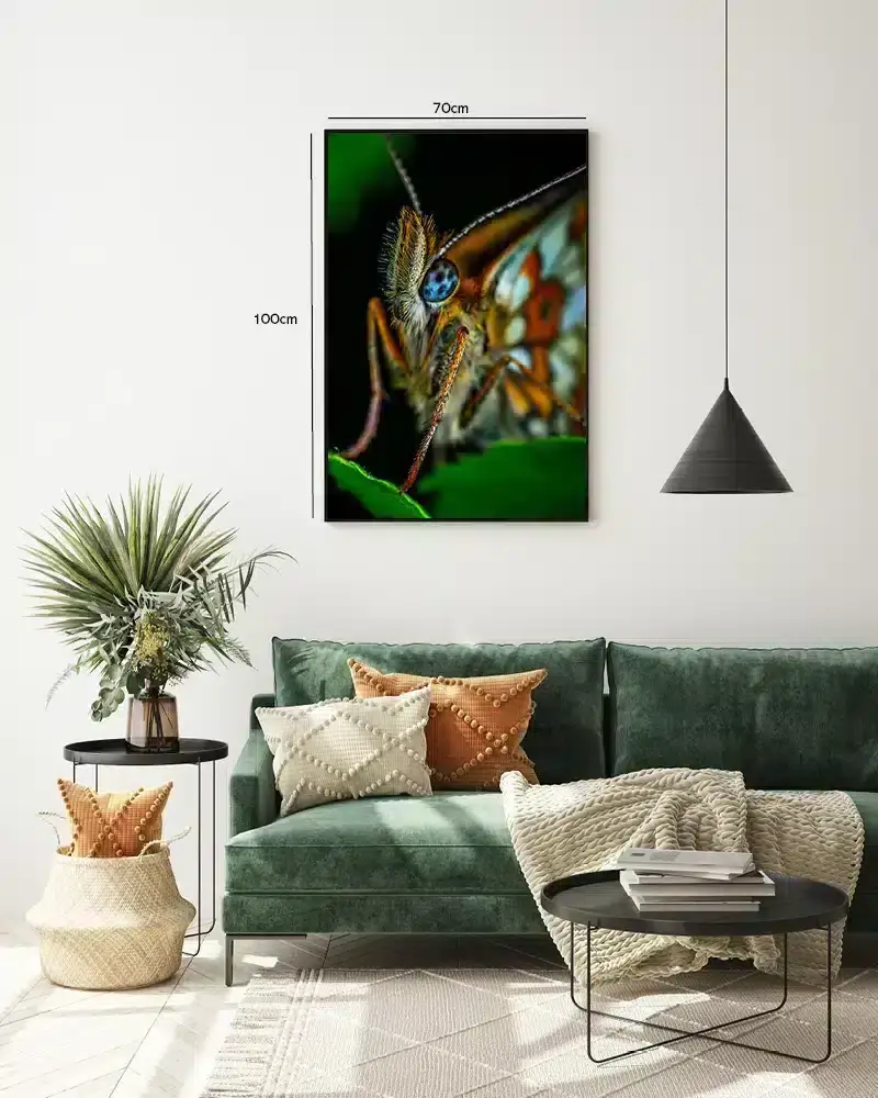 Butterfly Macro Plakat