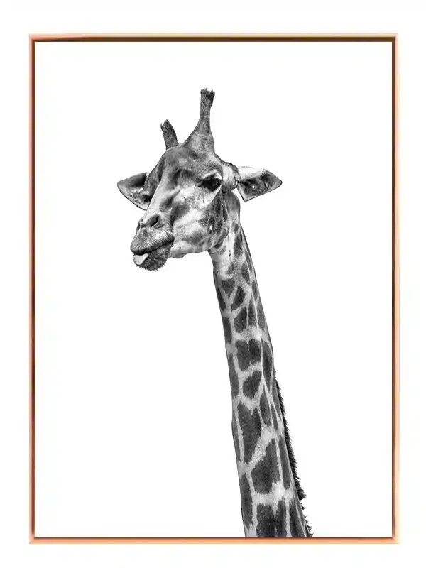 Giraffe Head Plakat