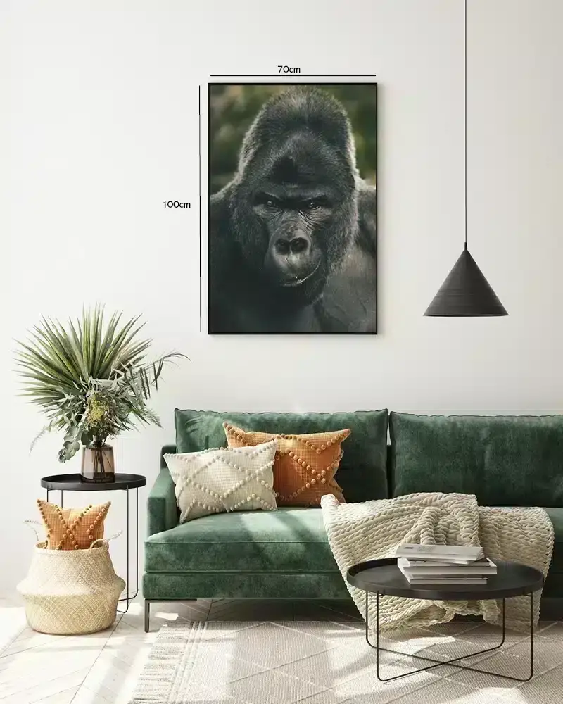 Silverback Gorilla Face Plakat
