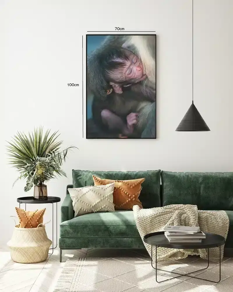 Abe Baby Plakat