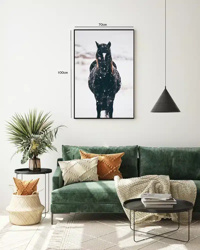 Icelandic Horse Snow Plakat