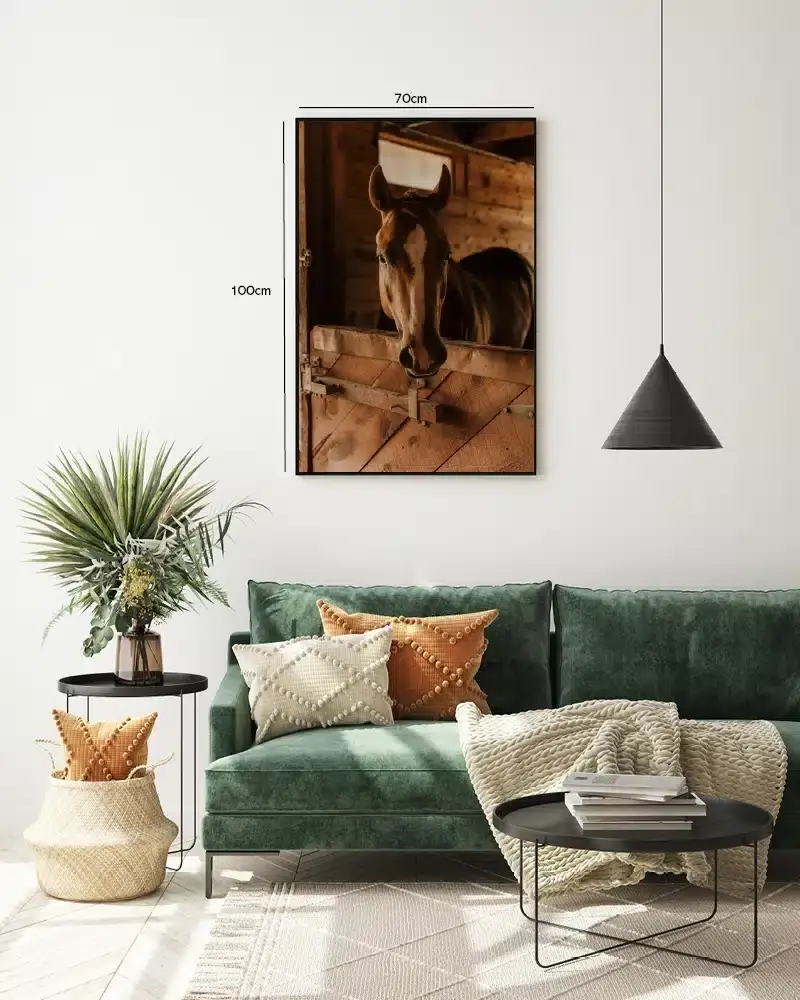 Brown Horse Plakat