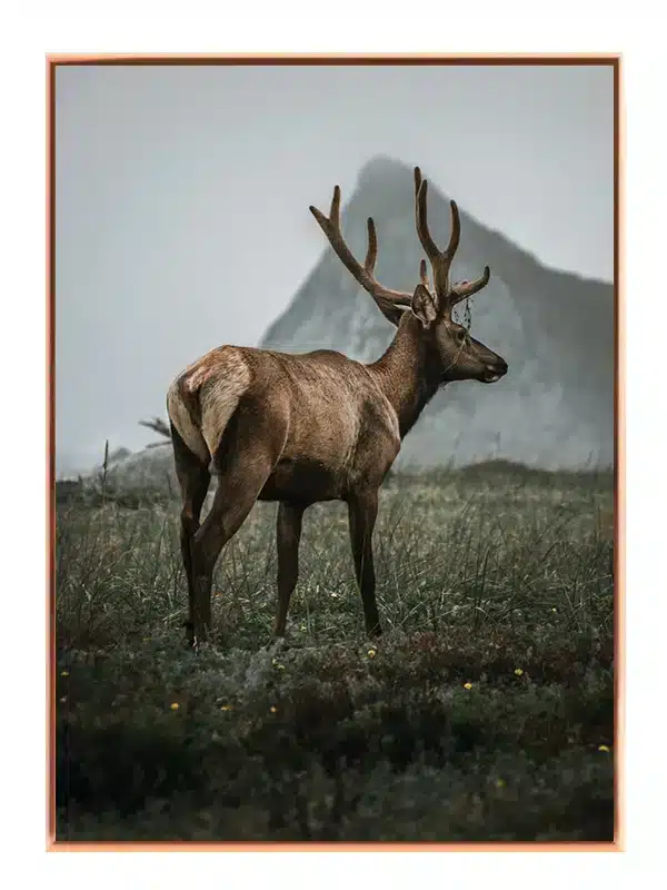 Elk With Antlers Plakat