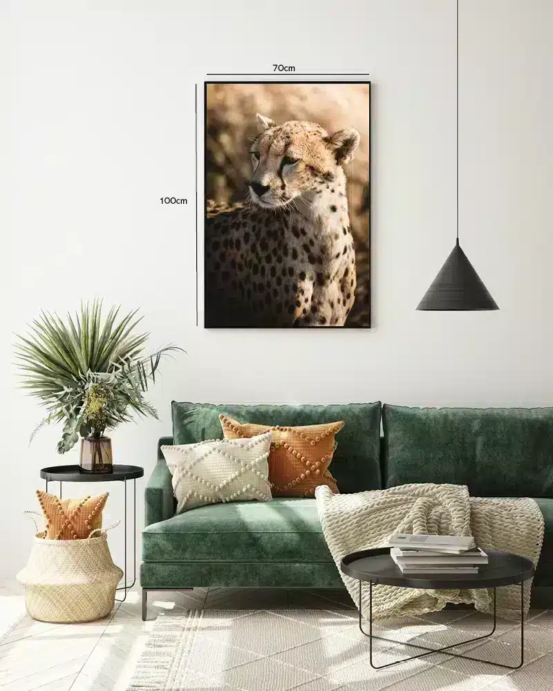 Cheetah Plakat