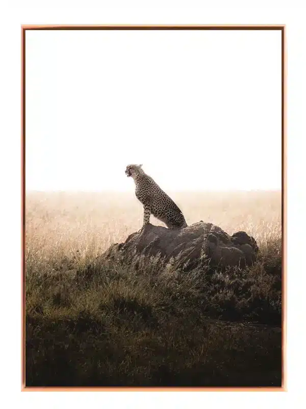 Cheetah On Plakat