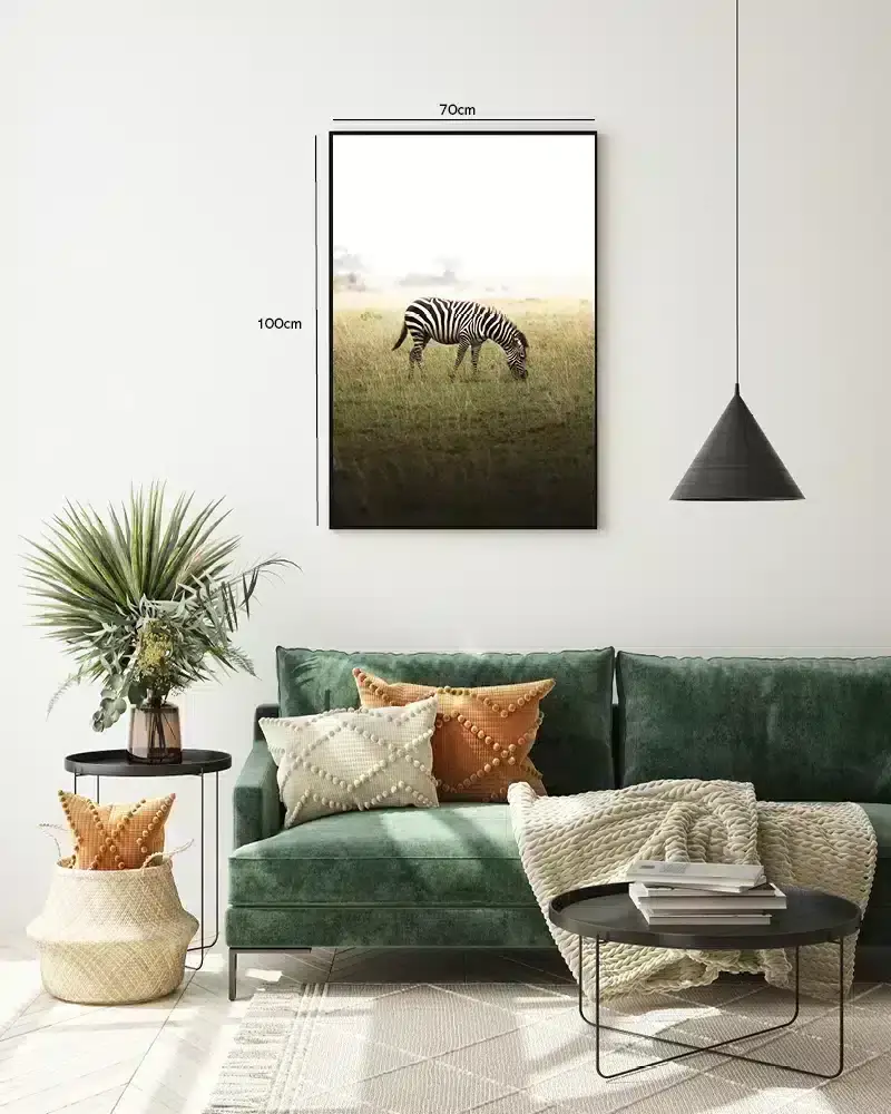 Grazing Zebra Plakat