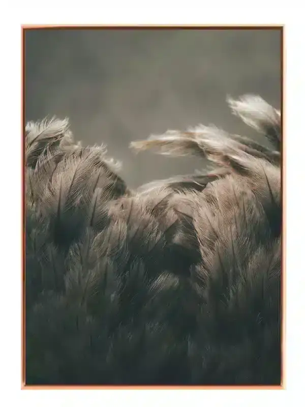 Bi Ostrich Plakat