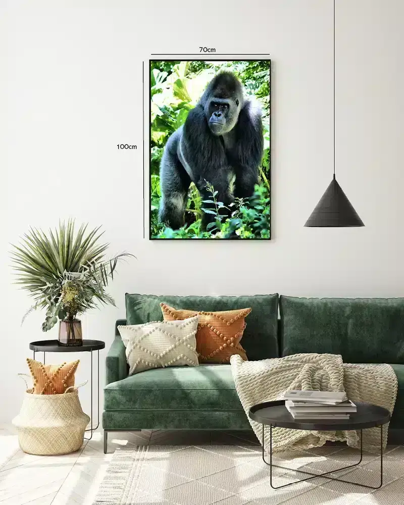 Silverback Gorilla Jungle Plakat
