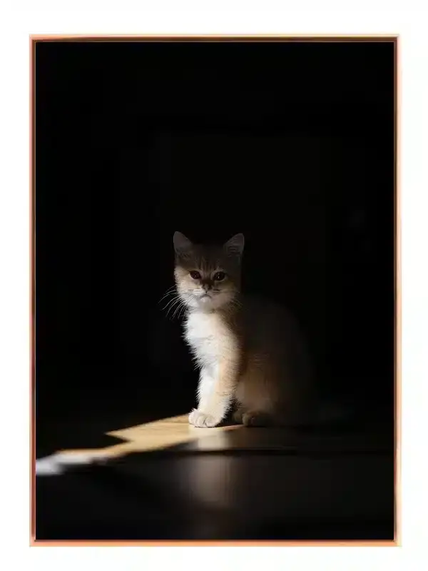 Kitten Sitting Plakat