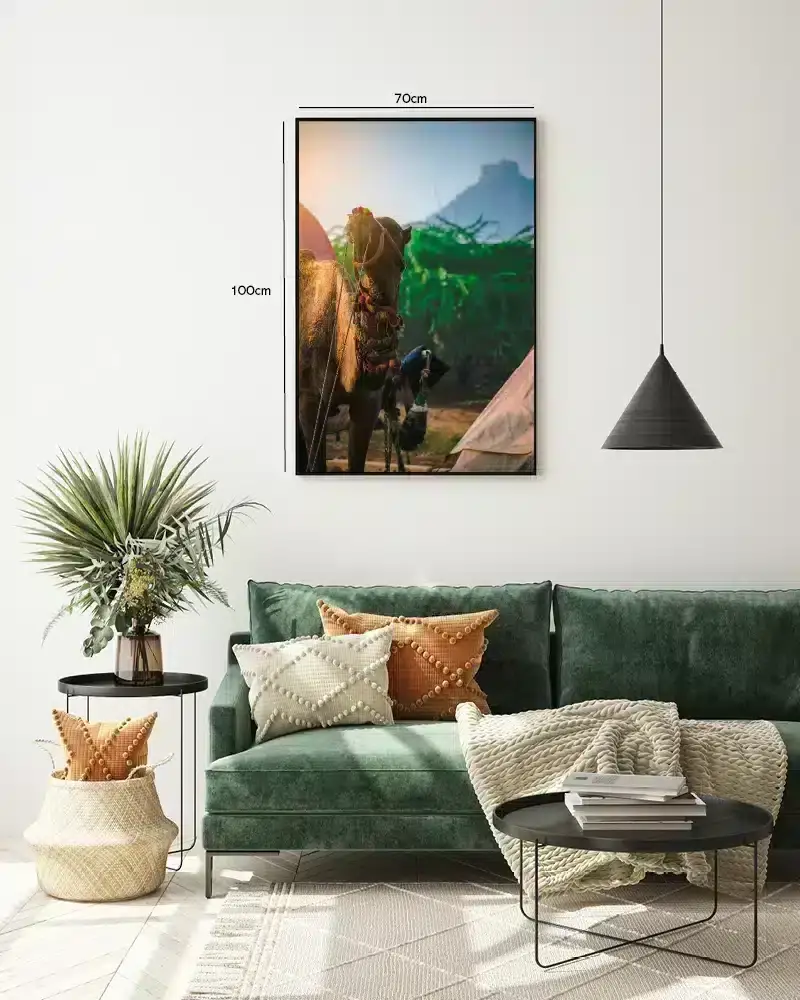 Ko Decorated Camel Plakat