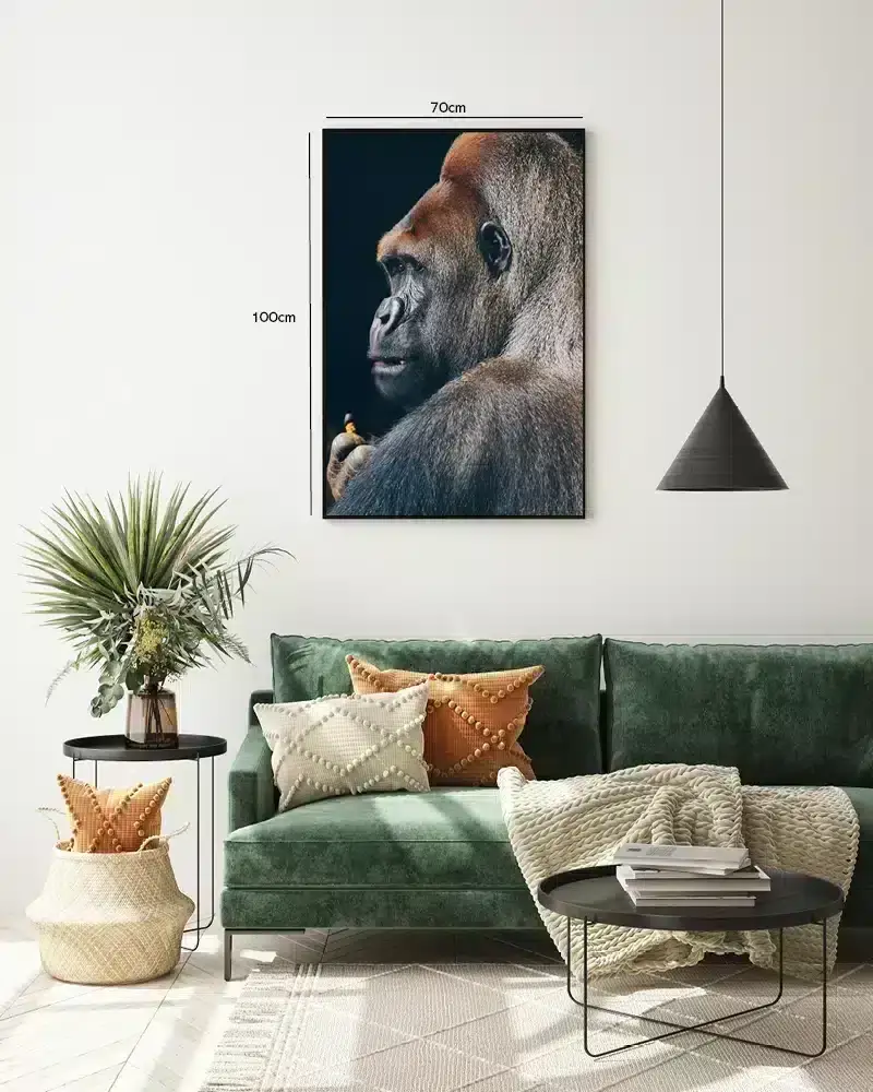 Silverback Gorilla Profile Plakat