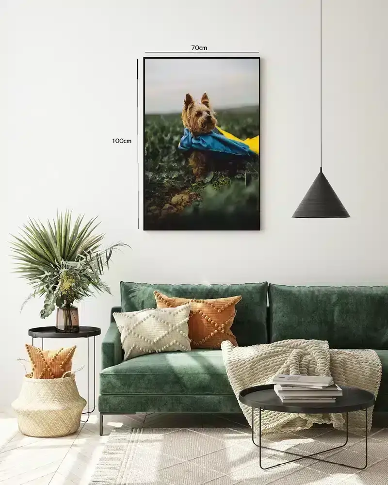Hund Yorkshire Plakat