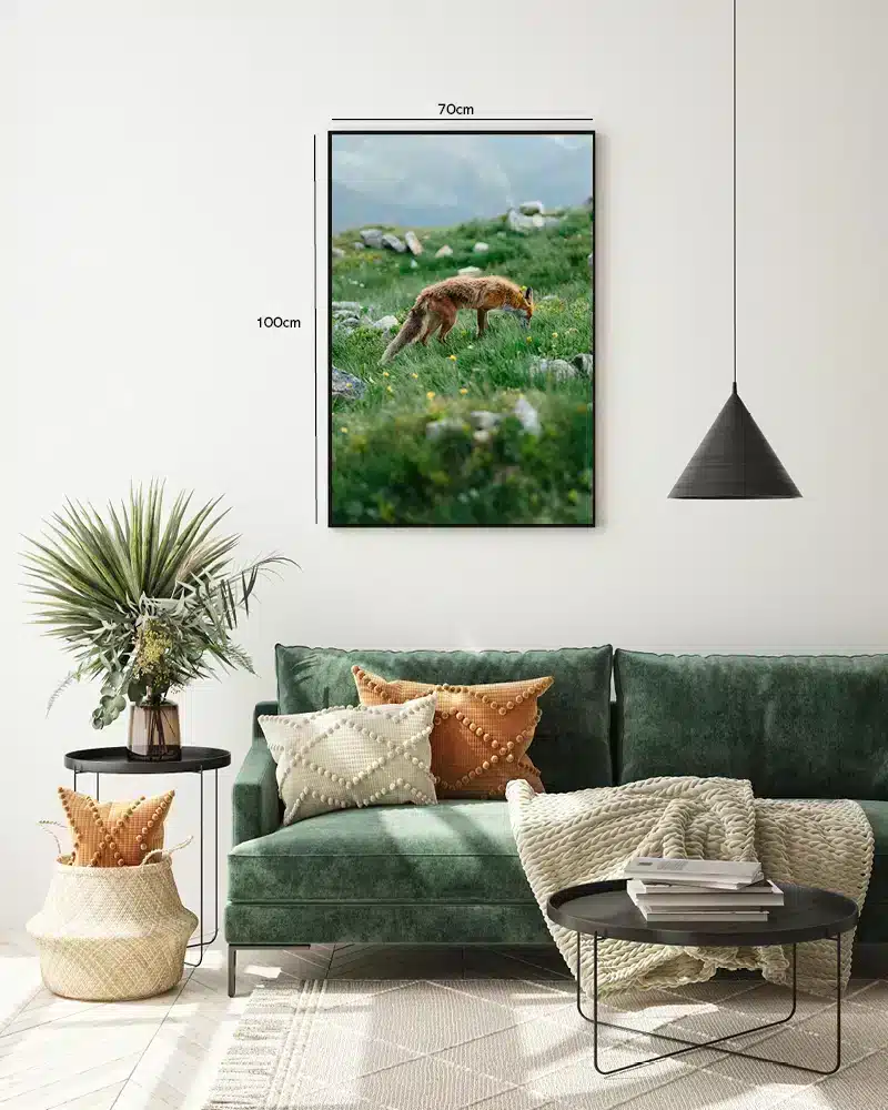 Red Fox Meadow Plakat