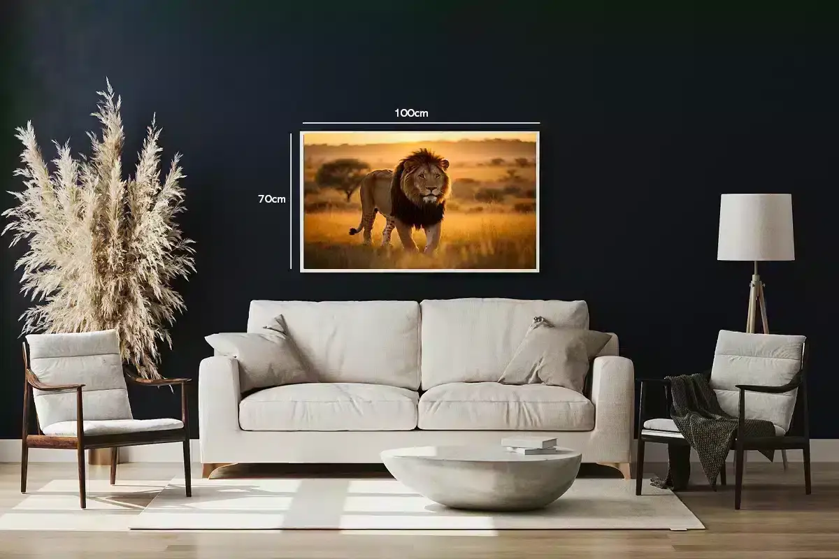 African Lion Plakat