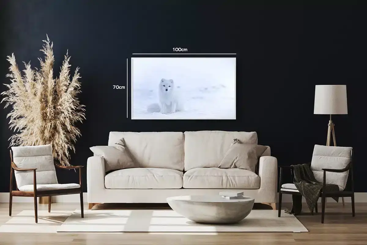 Arctic Fox Plakat