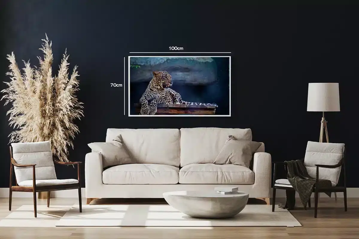 Leopard Resting Plakat