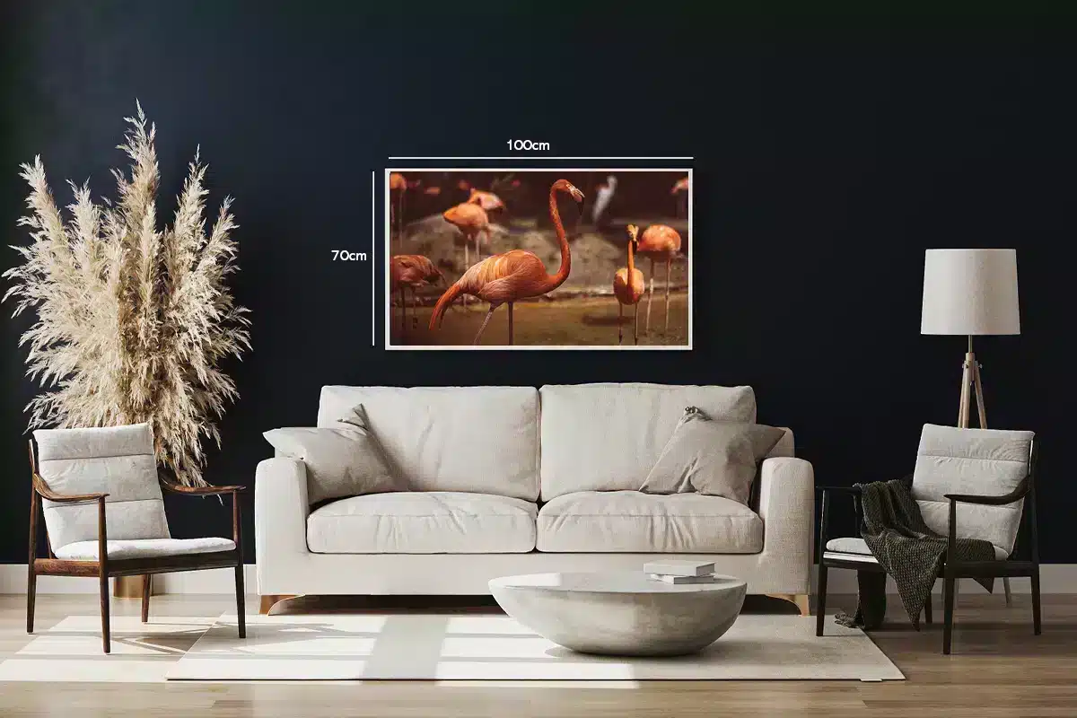 Flamingo No2 Plakat