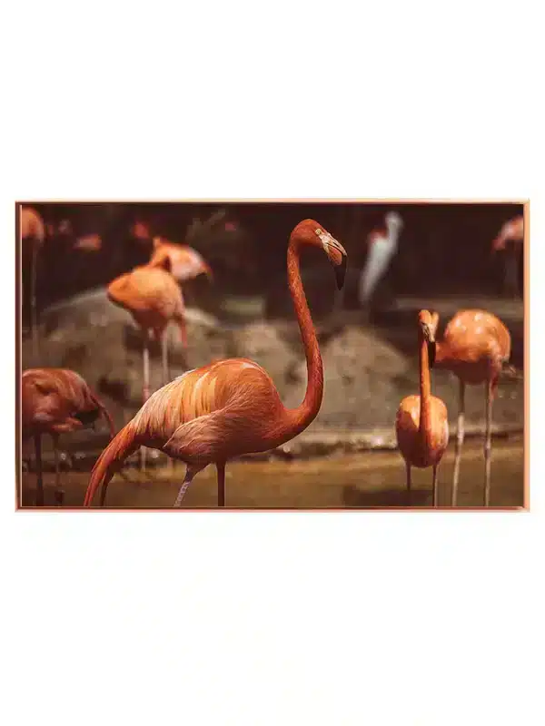 Flamingo No2 Plakat
