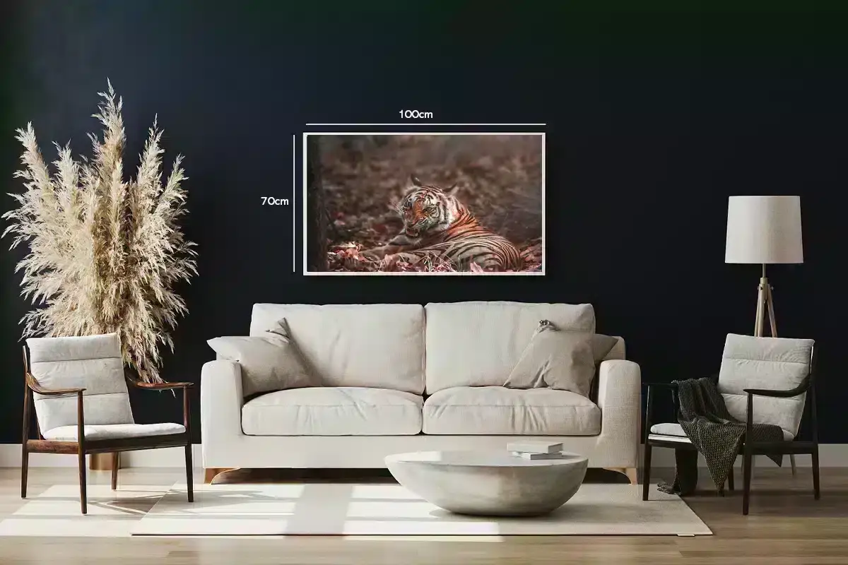 Tiger Resting Plakat