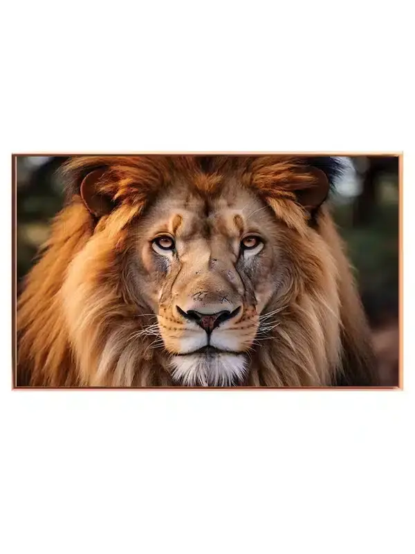 Lion Face I No2 Plakat