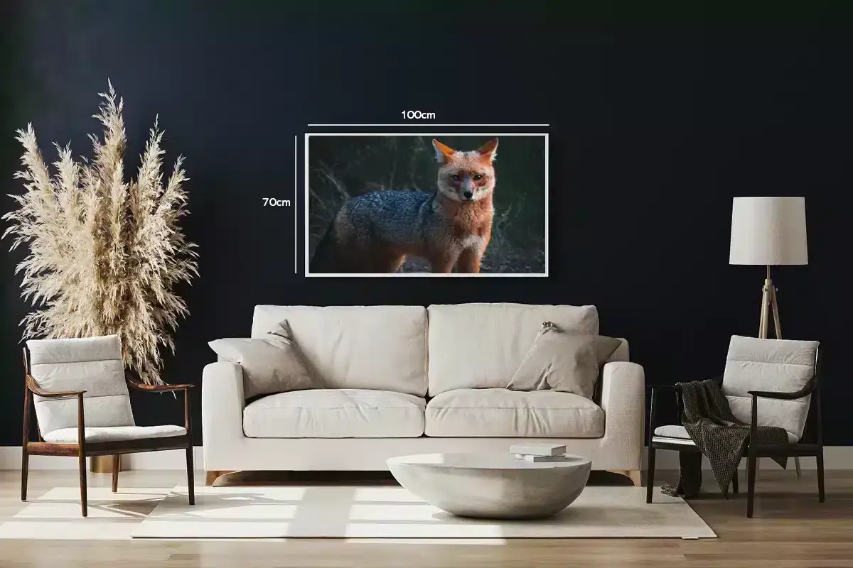 Gray Fox Plakat