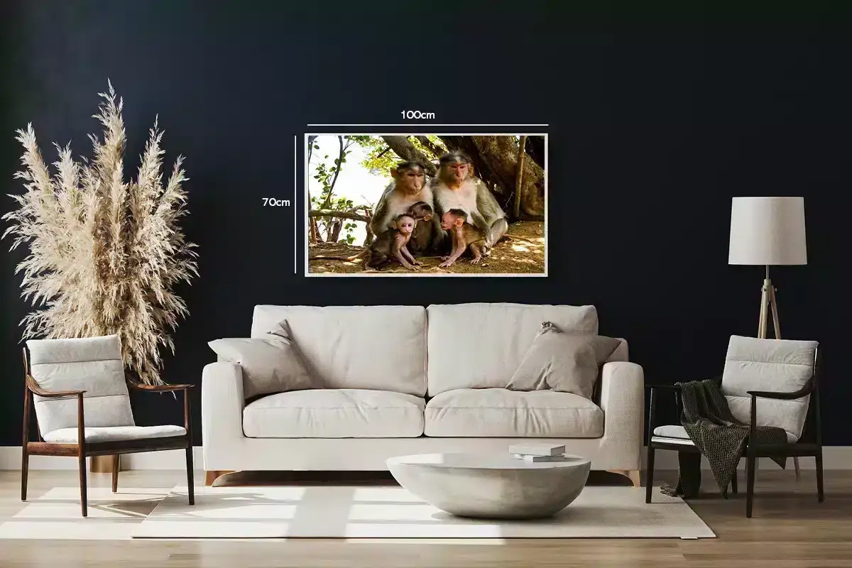 Abe Macaque Family Plakat