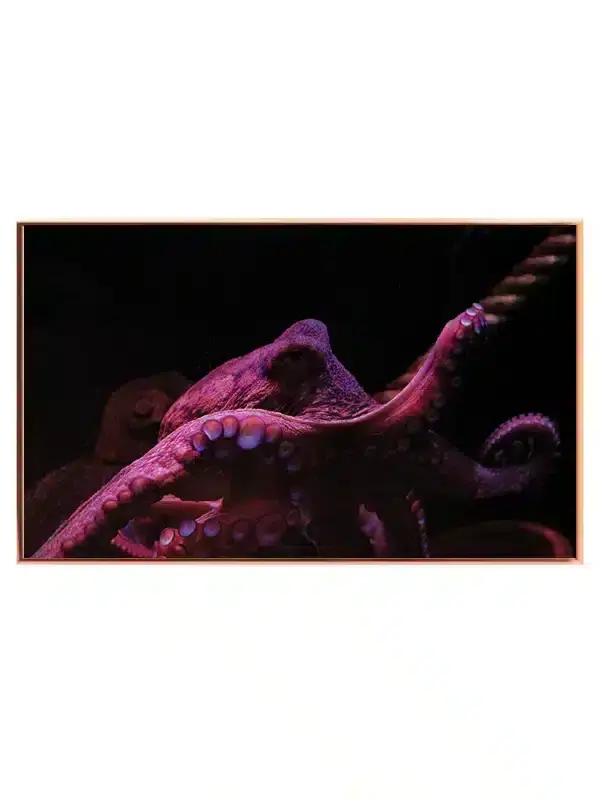 Octopus Plakat