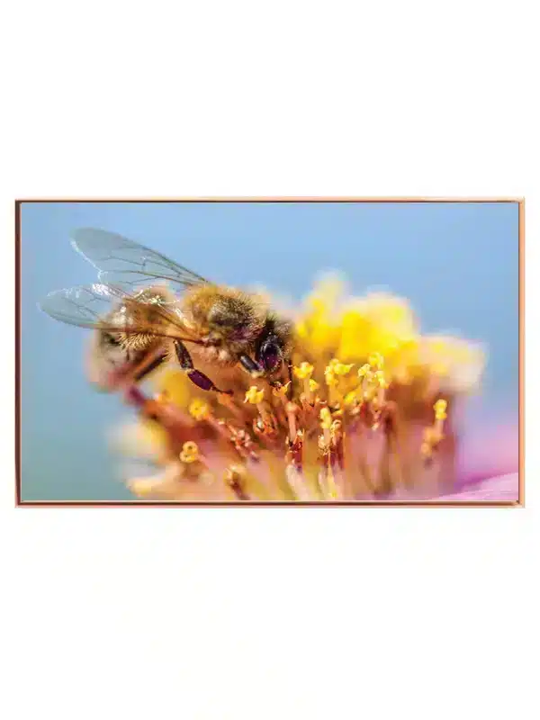 Honeybee On Flower Plakat