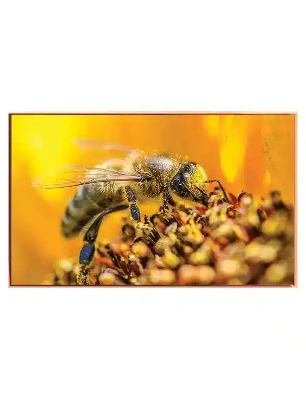 Honeybee no2 Plakat