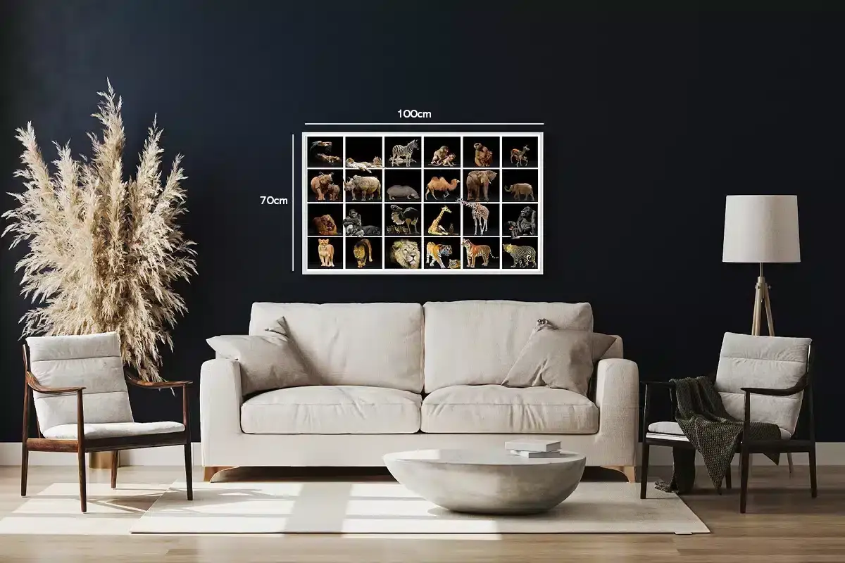 Løve African Collection Plakat