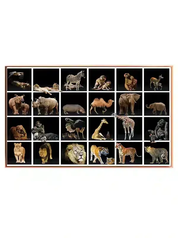 Løve African Collection Plakat