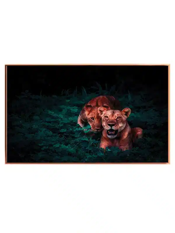 Lioness Duo Plakat