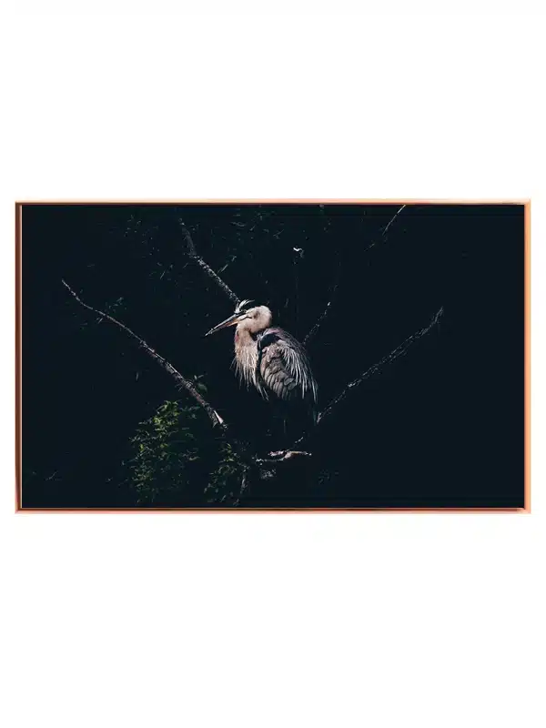 Fugl Heron Plakat