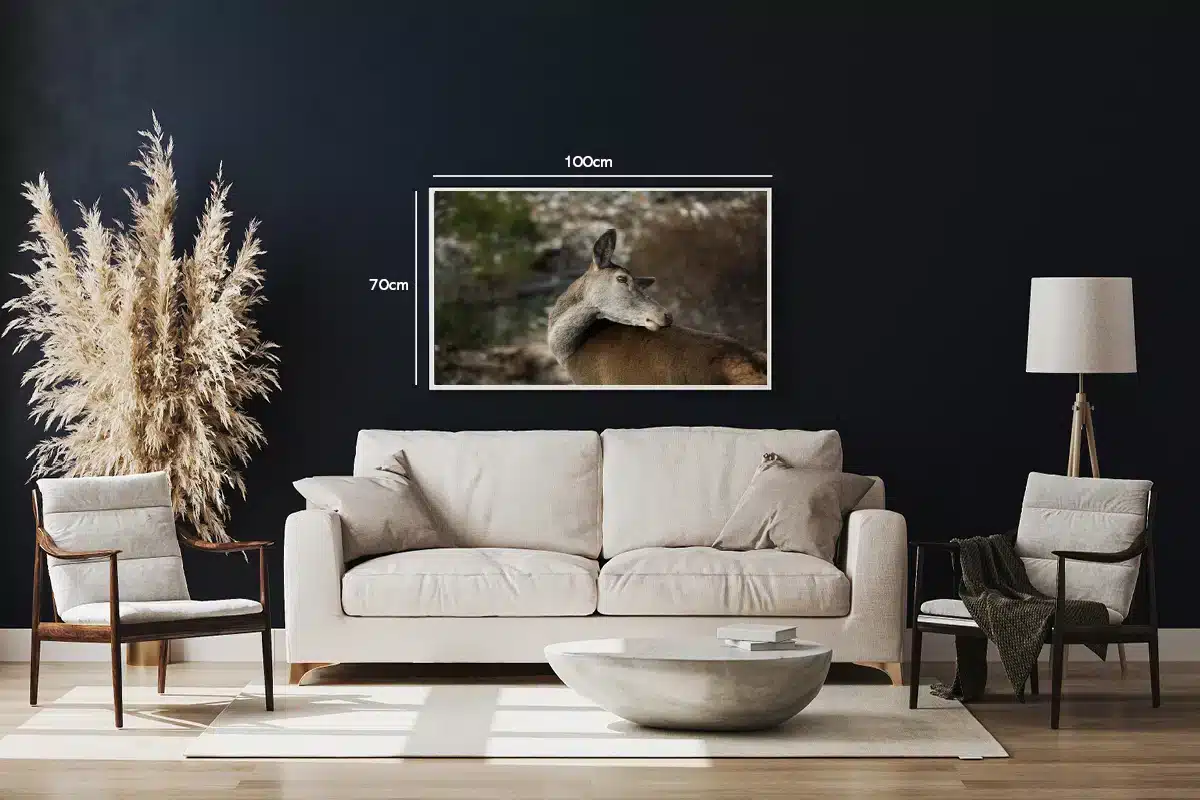 Deer Looking Back Plakat